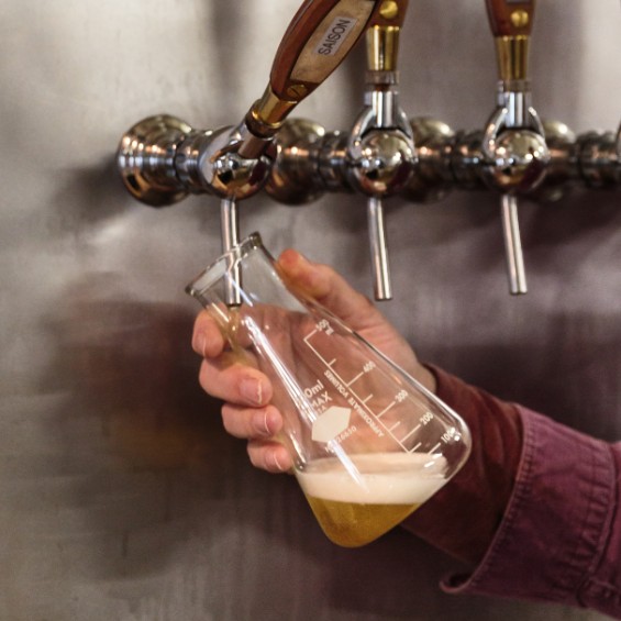 An erlenmeyer flask (chemistry glassware) is being filled from a beer tap line