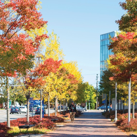 A student walks down the path near Glickman library. The trees are red and yellow and the sky is clear blue.
