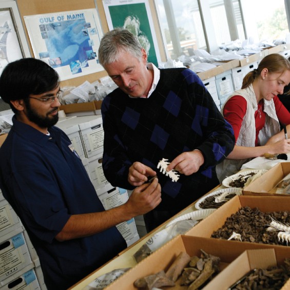 Students working with an archaeology professor