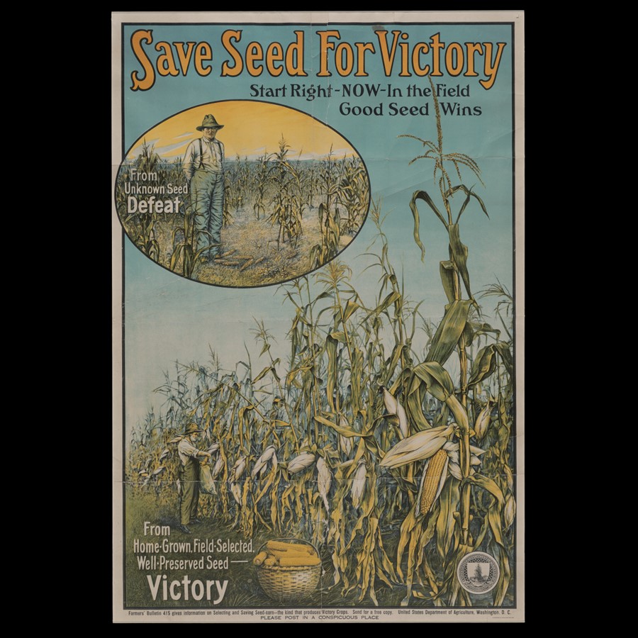 Illustrated poster of a field of healthy corn, inset with an illustration of a man standing in a field of unhealth corn