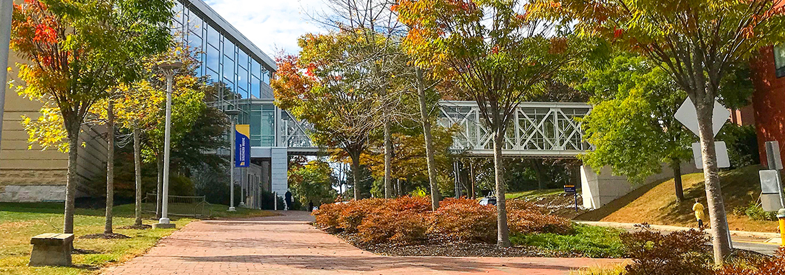 A brick sidewalk stretching up to the Abromson Community Center and Skywalk, bordered by leaves with autumn-colored leaves on a sunny day.