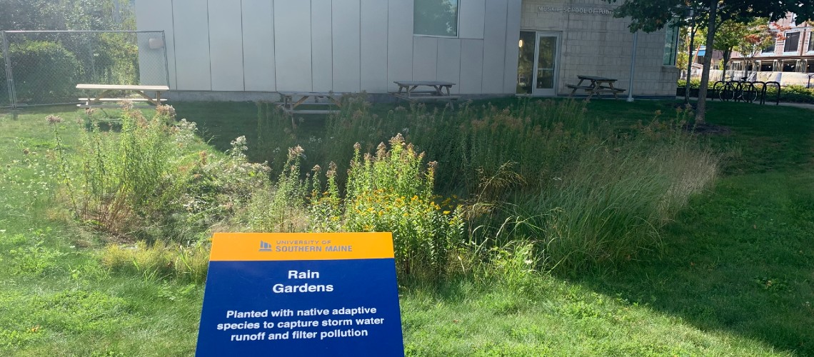 A rain garden outside Wishcamper building, showing an interpretative sign with a backdrop of the depression filled with native wildflowers.