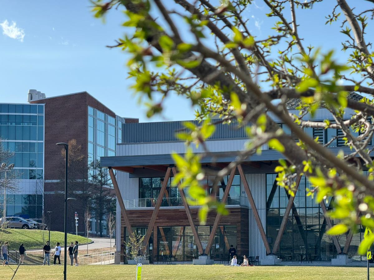 Photo of McGoldrick through tree branch with leaves