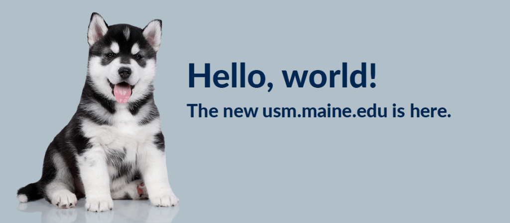 A husky puppy with a lolling tongue looks directly into the camera. Text reads, 'Hello, world! The new usm.maine.edu is here.'
