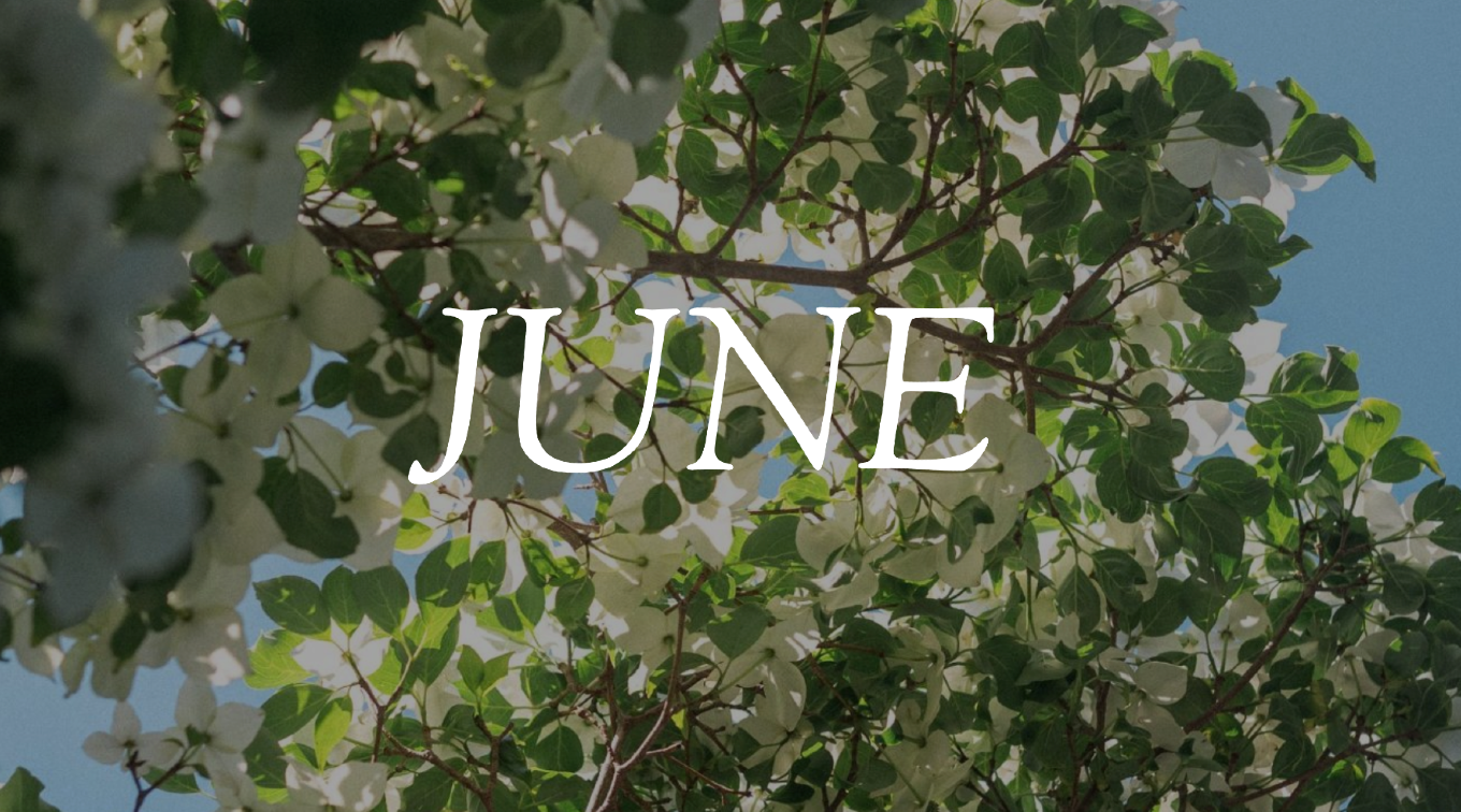 The word "JUNE" in white text overlaid on tree branches with green and white flowering blossoms against a blue sky